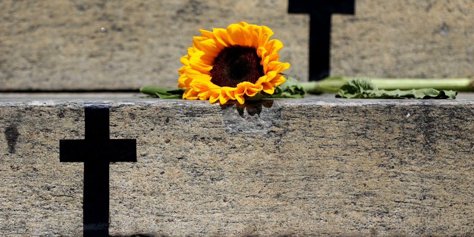 Thales Machado atira contra filhos e levanta alerta sobre violência vicária em Goiás