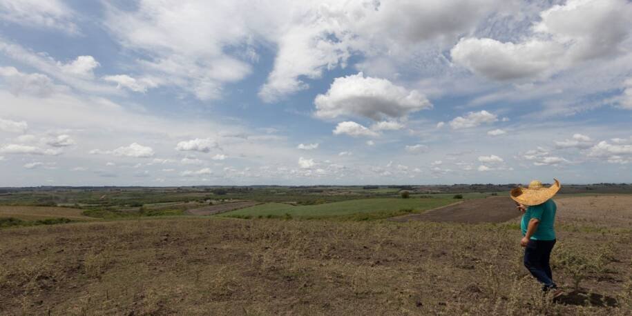 Agência Nacional de Águas revela queda na seca no Brasil e estados em alerta