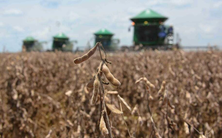 Aprosoja/MS alerta: chuvas irregulares podem comprometer colheita em MS