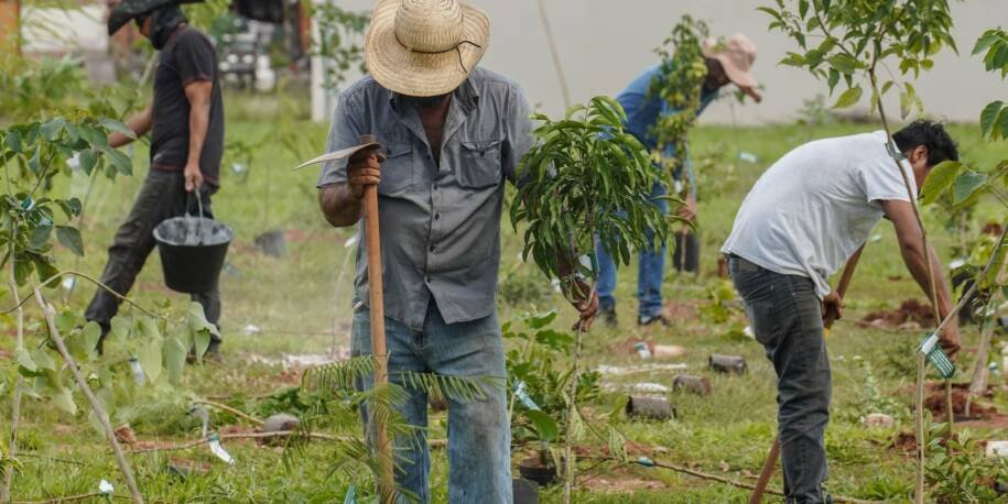 Banco do Brasil neutraliza emissões da COP15 com créditos de carbono e ação ambiental