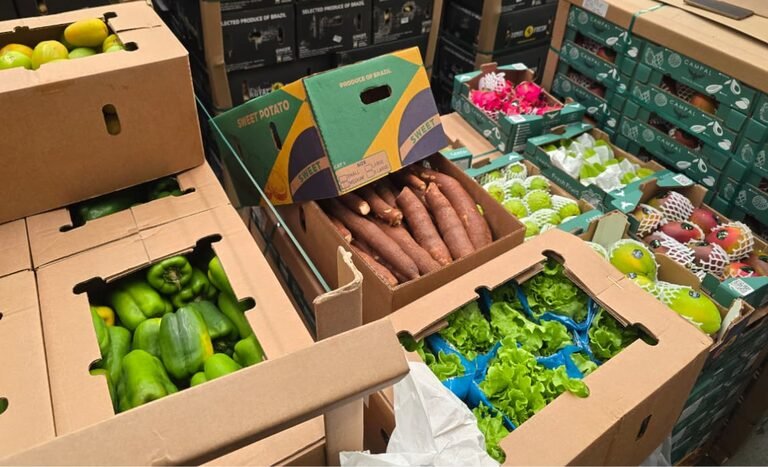 Brasil realiza primeira exportação de hortifrútis frescos para a Ilha do Sal