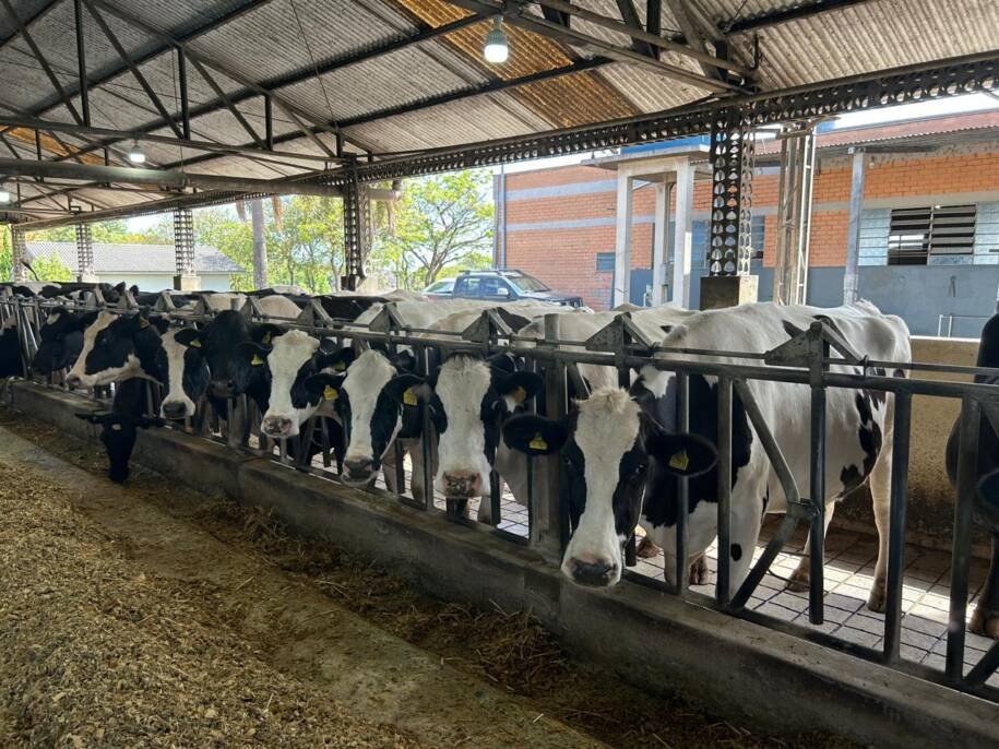 BRDE movimenta R$ 4,57 milhões em 1º dia do Pronampe Leite Custeio em SC
