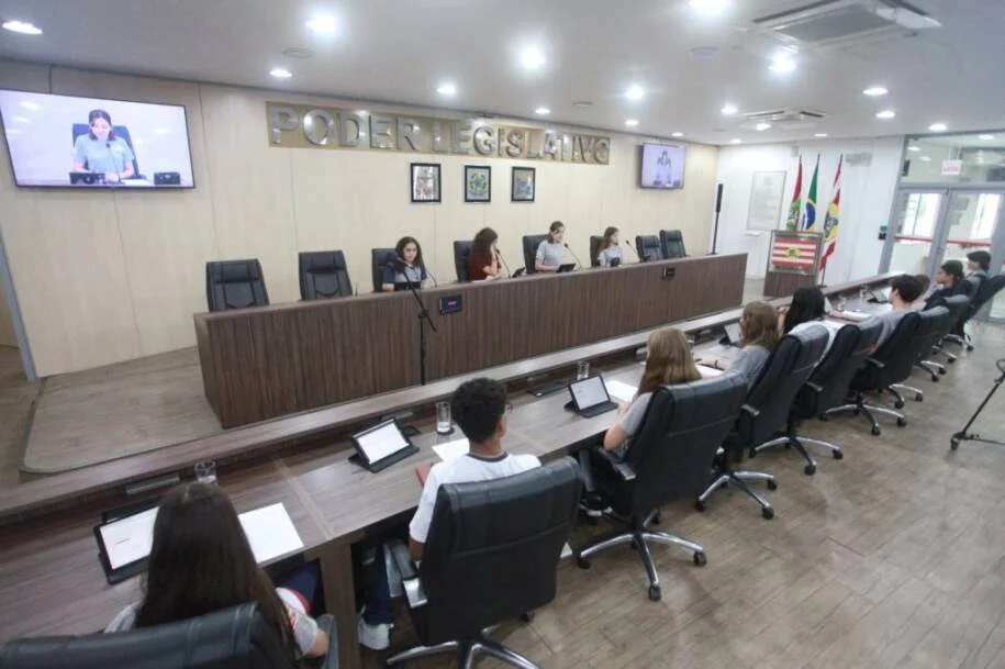 Câmara Mirim de Blumenau aprova requerimento de pintura e levanta preocupações