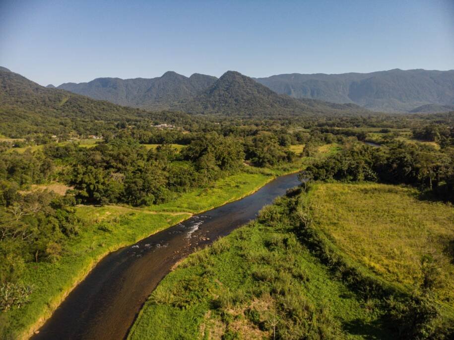 CCJ de Joinville aprova novo Código Municipal de Meio Ambiente e gera polêmica
