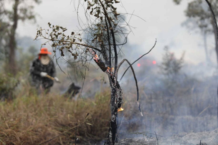 Cemtec alerta: Incêndios florestais aumentam em MS devido a chuvas irregulares