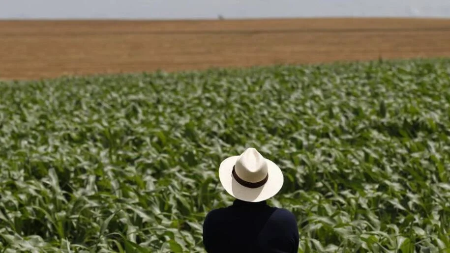 Conflito entre Irã e Israel ameaça agronegócio brasileiro e preços sobem