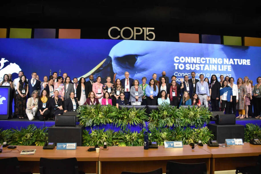 COP15 arrecada R$ 36,6 milhões e governo pleiteia recursos para o Pantanal