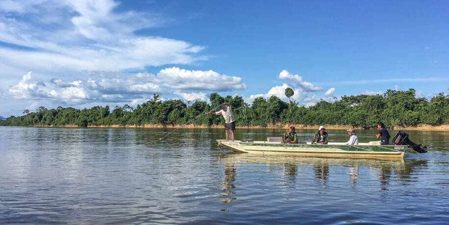 COP15: Brasil identifica 325 peixes migratórios ameaçados e propõe ações urgentes