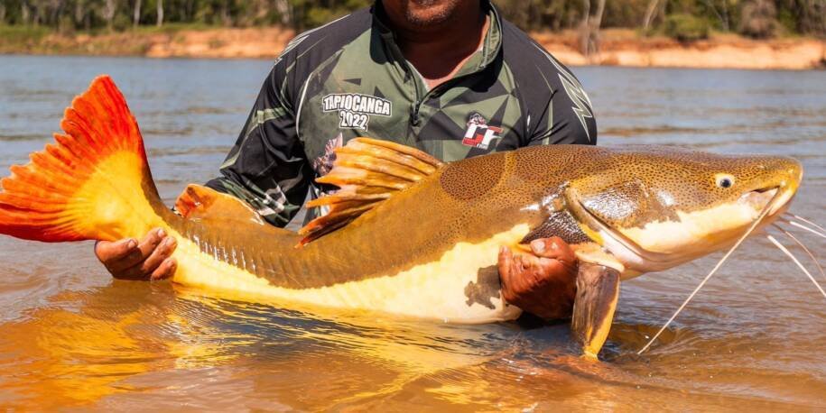 COP15 em Campo Grande aprova proteção para ariranhas e bagres migratórios