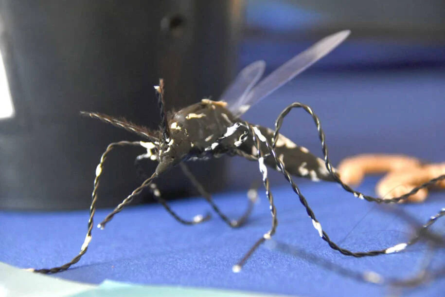 Dourados enfrenta emergência após óbito de bebê e 5 mortes por Chikungunya