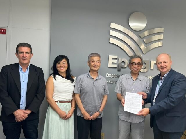 Epagri e Ogon No Mura firmam acordo e testam cultivo do limão Yuzu em SC