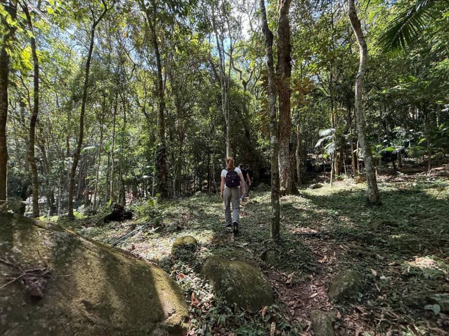 FAACI e Sebrae abrem inscrições para Roteiro Agroturístico em Itapema e geram expectativa