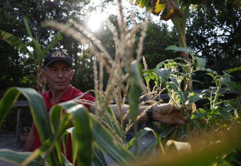 Fundo Amazônia destina R$ 53 milhões para regularização no Maranhão e transforma vidas