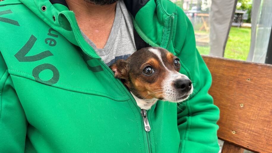 Governador Jorginho Mello sanciona lei que proíbe fogos barulhentos em SC