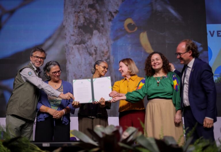 Governo do Brasil lança medidas para proteção animal e multa de até R$ 1 milhão