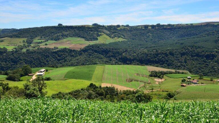 Incra inclui 1.612 famílias quilombolas do MA no Programa de Reforma Agrária