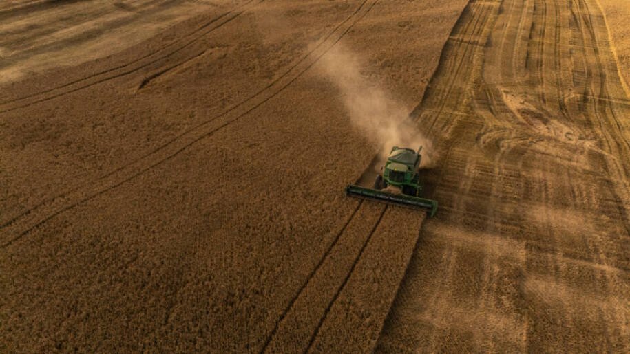 Indústria cervejeira enfrenta crise: Ambev e Heineken reagem a queda no consumo