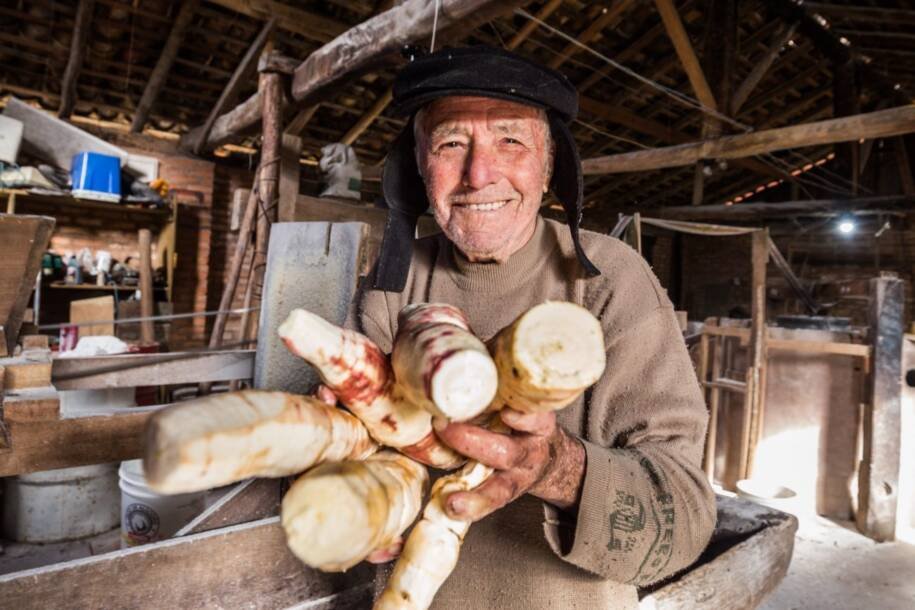 IPHAN abre consulta pública e Instituto Boimamão mobiliza comunidades de SC