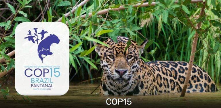 João Paulo Capobianco preside COP 15 no Brasil com mais de 2 mil participantes