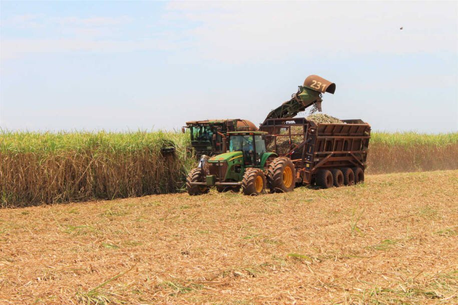 Mato Grosso do Sul registra safra recorde de cana e avança na produção de etanol