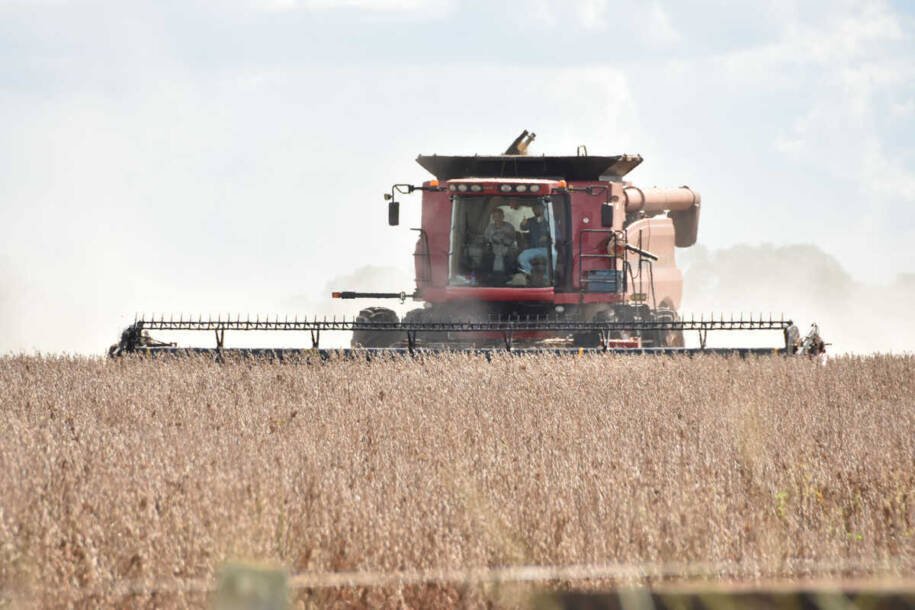 Mato Grosso do Sul revela produção recorde de soja e desafia IBGE com dados surpreendentes