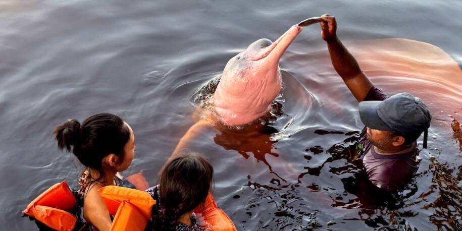 Ministra Márcia Lopes revela dados alarmantes sobre segurança de mulheres viajantes
