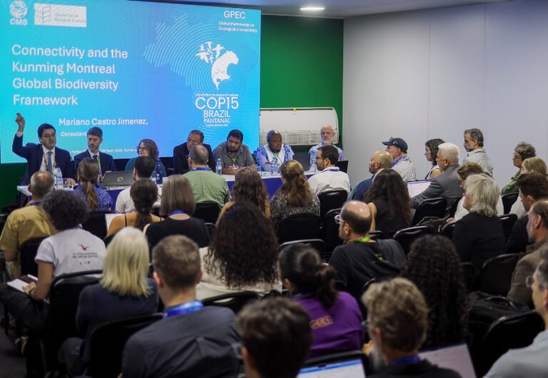 MMA destaca papel de povos indígenas na COP 15 em Campo Grande e elogia estratégia