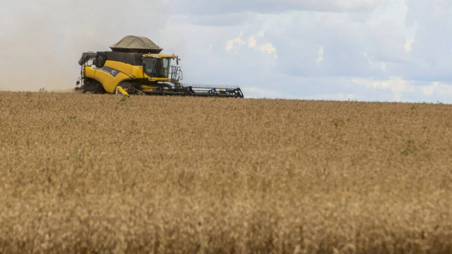 Petrobras corta 30% do diesel e produtores de arroz enfrentam crise no campo