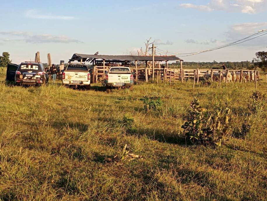 Polícia Civil prende pai e filho por furto de gado em Nova Andradina, MS