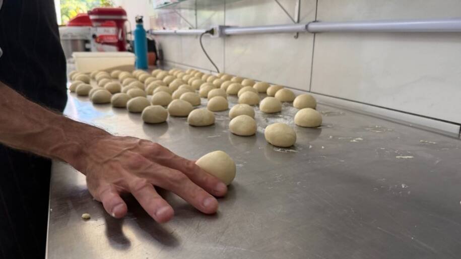 Santa Catarina registra 490 mil empresas lideradas por mulheres; crescimento surpreende