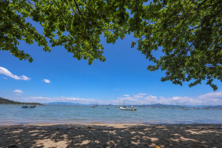 SEMAE prorroga consulta pública até 17 de abril e destaca participação popular