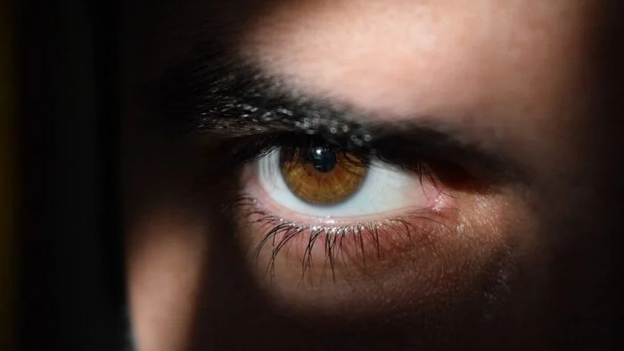 Struktura expõe mais de 500 mil dados de usuários de stalkerware em escândalo