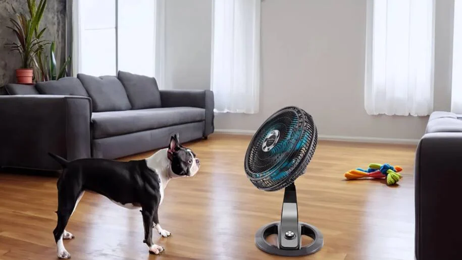 TechTudo revela descontos de até 55% em ventiladores na Semana do Consumidor