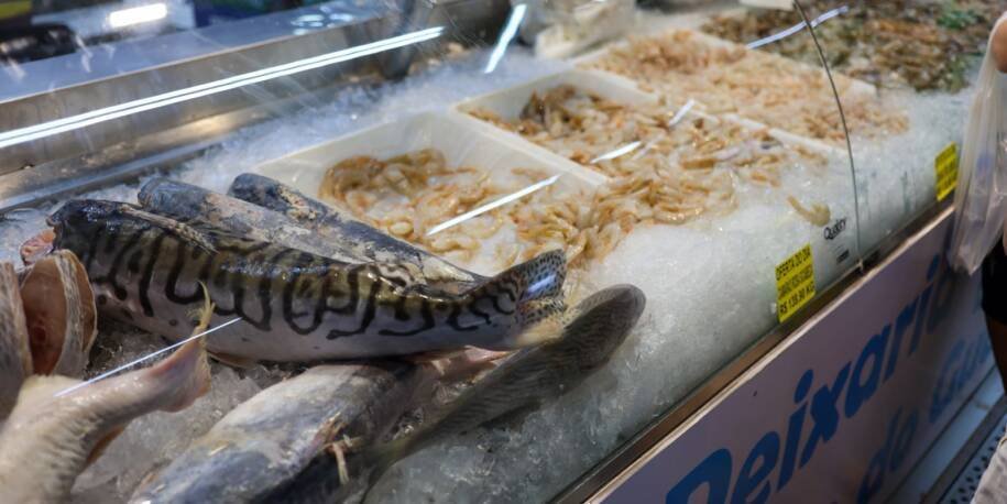 Vigilância Sanitária da SES-RJ alerta sobre riscos do pescado na Semana Santa