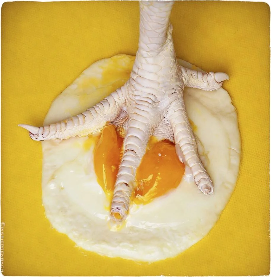 Air France-KLM avança com oferta por participação na TAP enquanto governo português privatiza