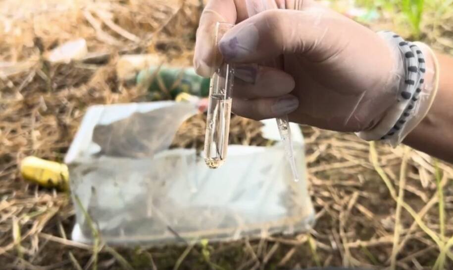 Araquari reduz casos de dengue após 2024 e chega a 2026 sem registros