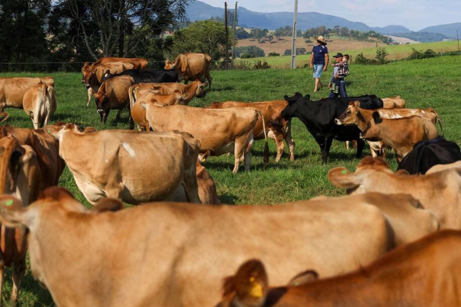 BRDE libera R$ 656 milhões em crédito e transforma cenário de micros em SC