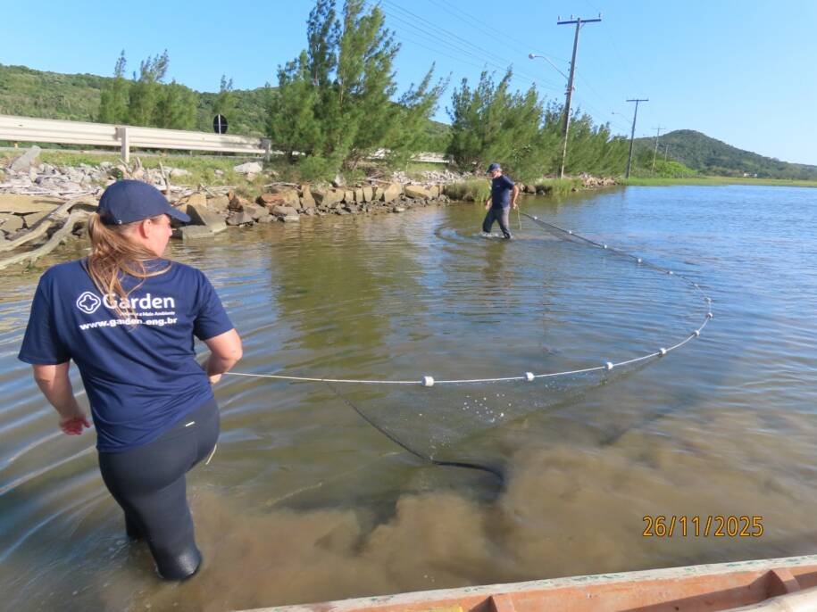 CASAN inicia monitoramento ambiental do Complexo Lagunar de Laguna e foca em botos
