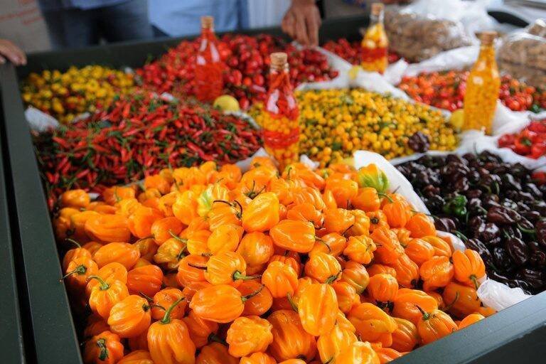 Feira Brasil na Mesa promove diversidade alimentar e negócios em Planaltina (DF)