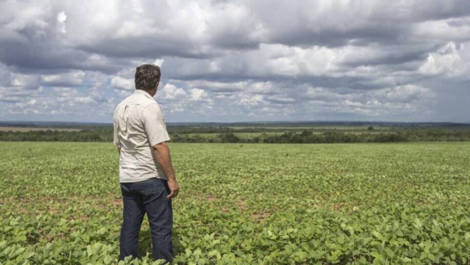 Fim da escala 6×1 gera custos bilionários ao agro e alimentos mais caros para todos