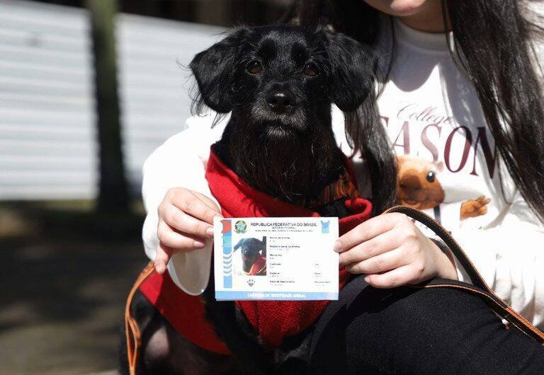 Governo do Brasil celebra 1,3 milhão de cães e gatos registrados em 98,3% dos municípios