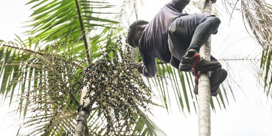 Governo Lula destina R$ 132 milhões para regularização fundiária na Amazônia