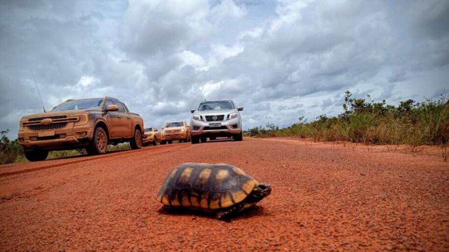 Guiana transforma rodovia histórica com petrodólares enquanto Brasil patina