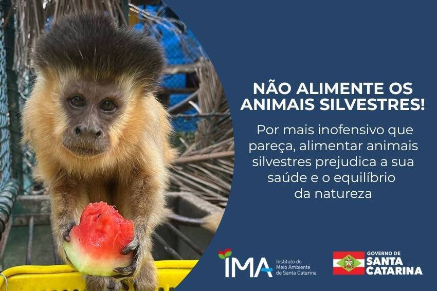IMA alerta: visitantes devem respeitar fauna silvestre em Santa Catarina