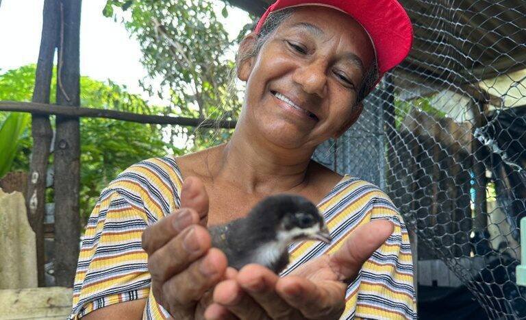 Incra e Embrapa lançam Projeto Galinha de Canela Preta e prometem transformação em Sergipe