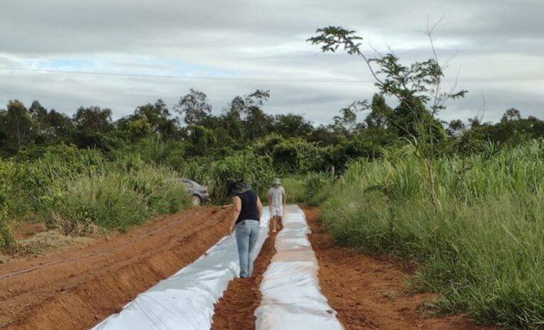 Incra em São Paulo libera R$ 1,3 milhão e transforma vida de 600 famílias