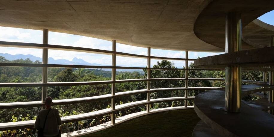 Instituto Inhotim celebra 20 anos e inaugura obras que provocam reflexão