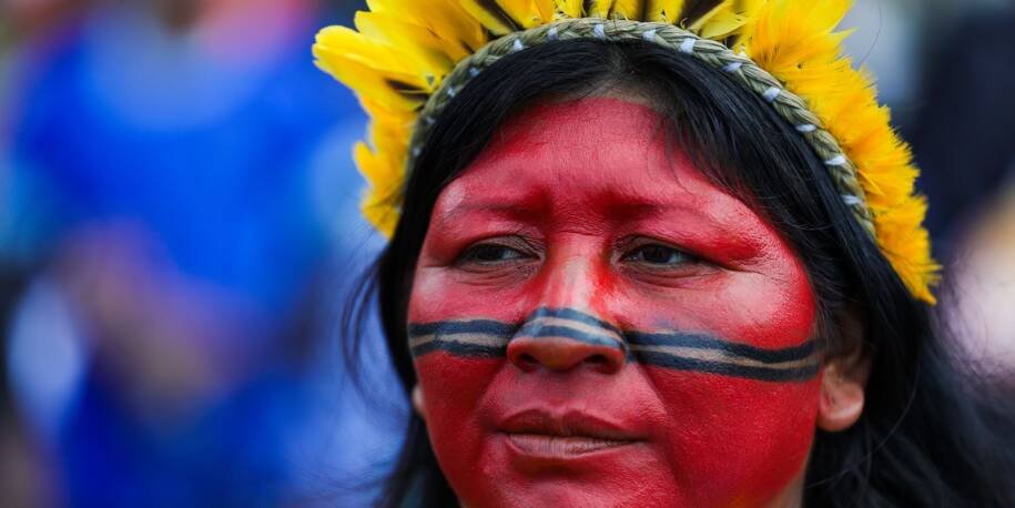 Ipea revela que apenas 252 indígenas lideram pesquisa no Brasil em 2023