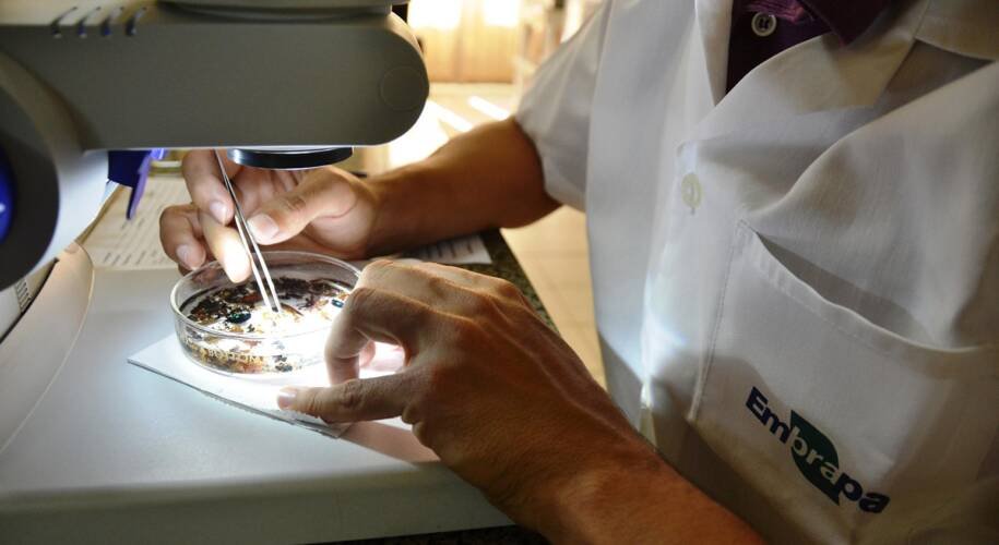 Ketta denuncia 99 Food por práticas anticompetitivas e gera inquérito da Cade