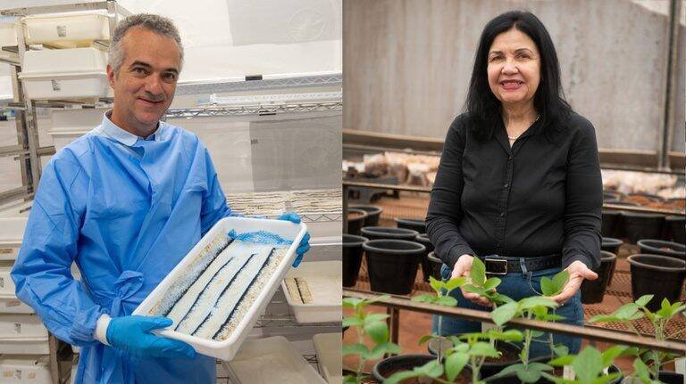 Mariangela Hungria e Luciano Moreira são reconhecidos pela Time e impactam a ciência